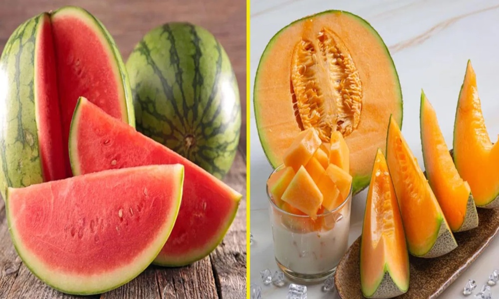 summer fruits: వేసవిలో లభించే కర్బూజా పుచ్చకాయలలో ఏది ఆరోగ్యానికి మంచిదో మీకు తెలుసా?