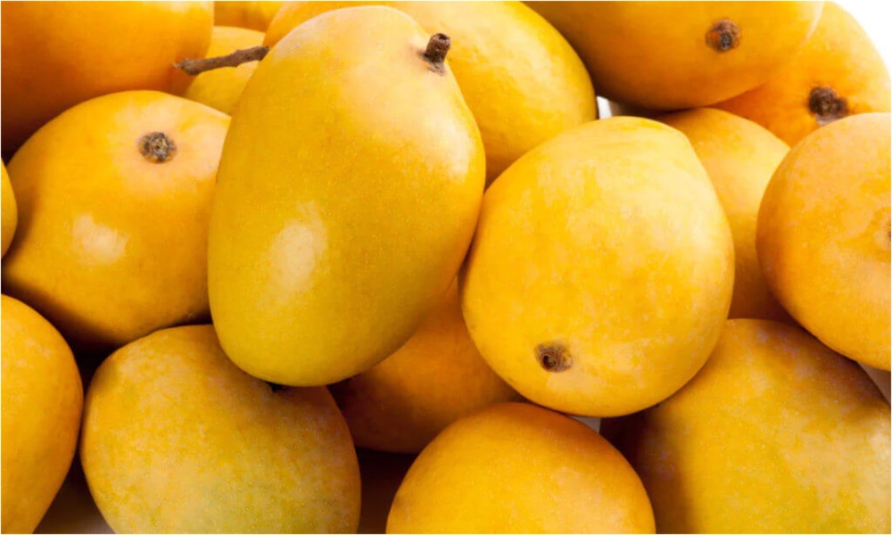 Mangoe: మామిడి పండు తింటే బరువు పెరుగుతారా.. షుగర్ లెవెల్స్ కూడా పెరుగుతాయా?