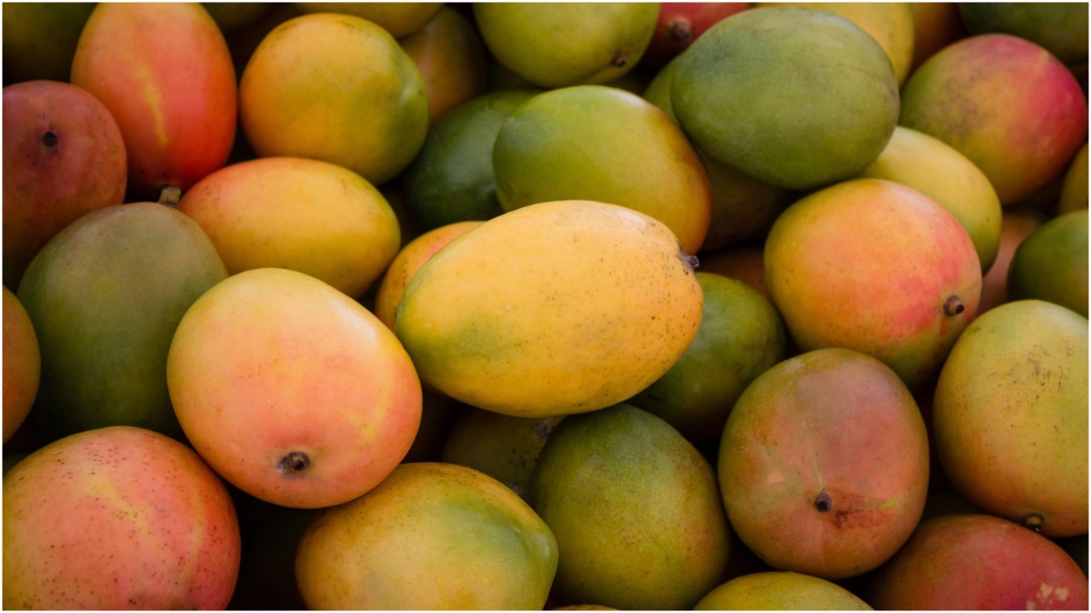 Mangoes: నీటిలో నానబెట్టకుండా మామిడి పండ్లు తింటున్నారా.. అయితే జాగ్రత్త!