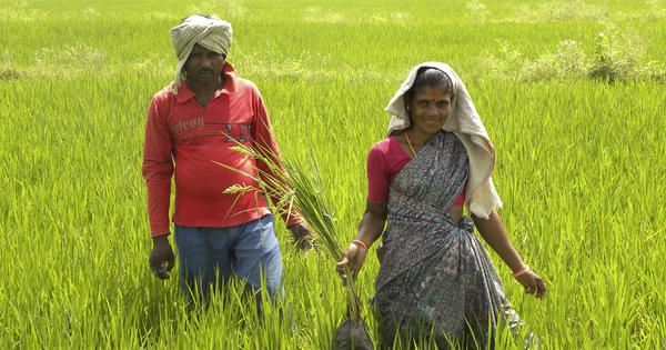 చంద్రబాబు రైతులకు ఇచ్చే రూ.20 వేల నియమ నిబంధనలివే.. అలా చేయబోతున్నారా?