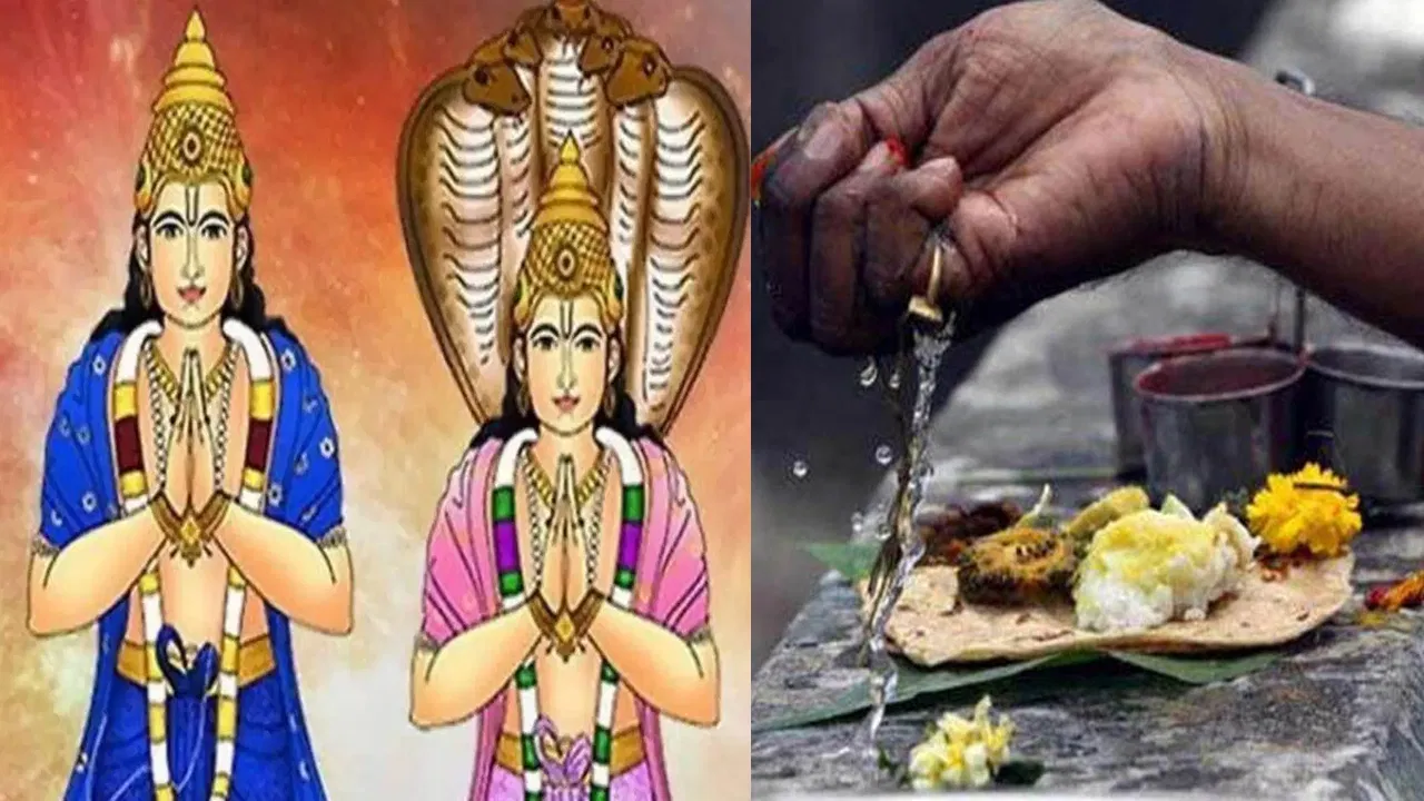 పితృ, రాహు దోషాలతో బాధ పడుతున్నారా.. ఈ సమస్యకు చెక్ పెట్టే చిట్కాలివే!