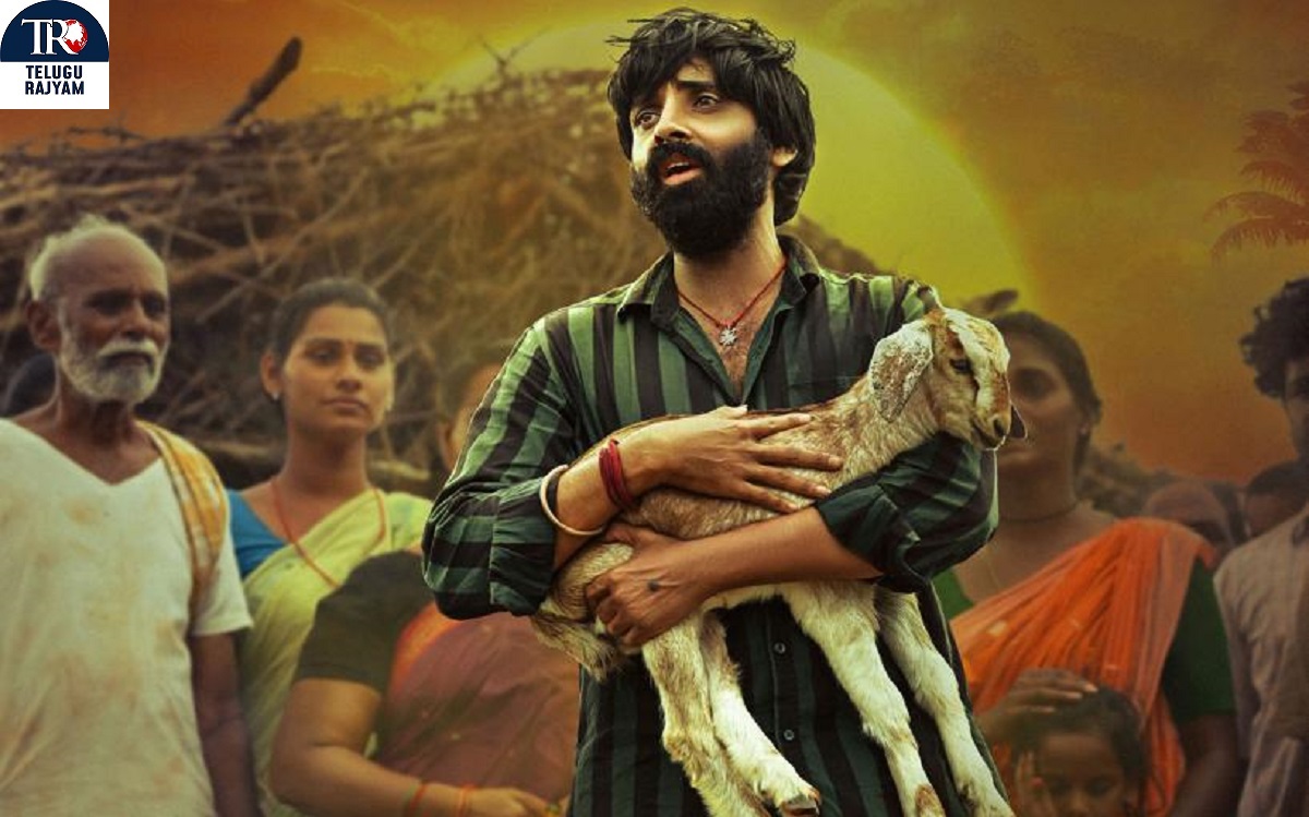 కాల భైరవ, కాసర్ల శ్యామ్, శేఖర్ చంద్ర సోల్ స్టిర్రింగ్ సాంగ్- ‘పొట్టేల్’ మూవీ నుంచి “బుజ్జి మేక” రిలీజ్