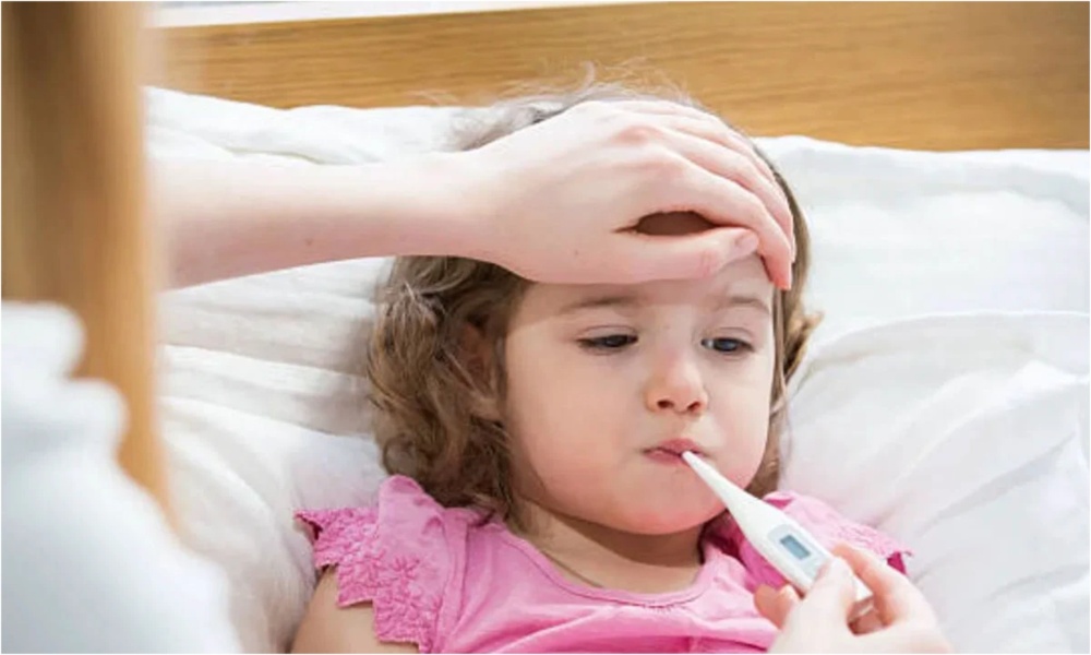 Chandipura Virus: కలకలం రేపుతున్న చాండీపురా వైరస్… ఈ జాగ్రత్తలు తప్పనిసరి?