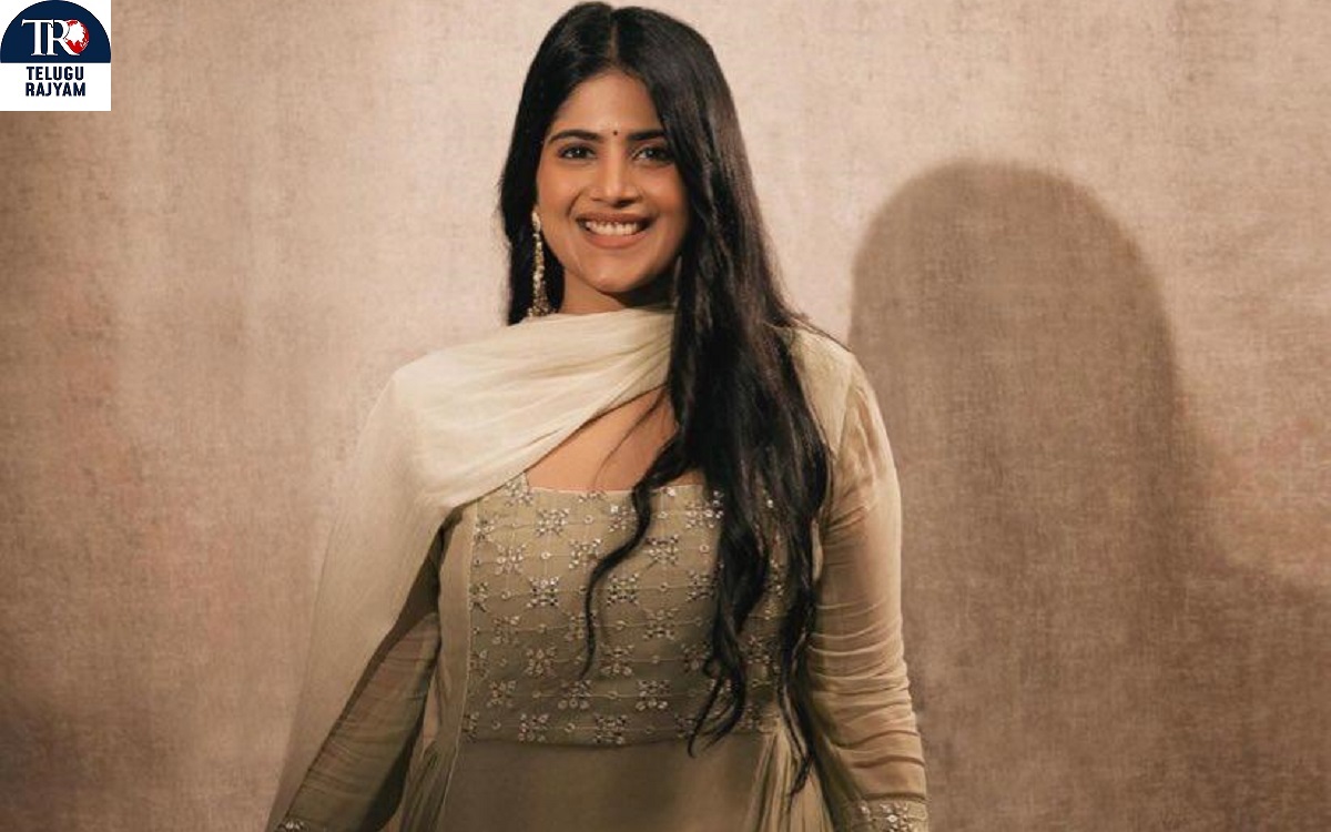 ప్రతిభ నిరూపించుకునే పాత్ర అది: మేఘా ఆకాశ్‌