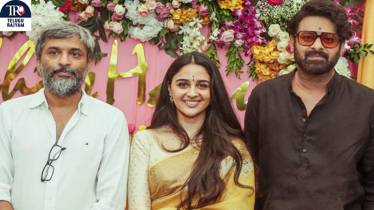 ప్రభాస్‌తో సినిమాతో స్టార్‌ స్టేటస్‌.. ఇప్పుడంతా ఇమ్మాన్వీ ఇస్మాయిల్‌ కోసం సర్చ్‌!?