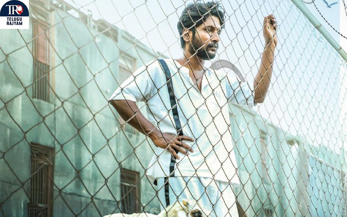 సుహాస్ ‘గొర్రె పురాణం’ ట్రైలర్ రిలీజ్- సెప్టెంబర్ 20 న వరల్డ్ వైడ్ థియేట్రికల్ రిలీజ్