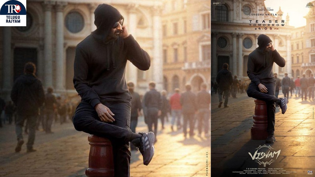 శ్రీను వైట్ల దర్శకత్వంలో గోపీచంద్‌ చిత్రం ‘విశ్వం’