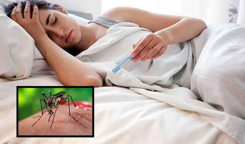 చికున్ గున్యా నుంచి త్వరగా కోలుకోవాలా.. ఈ చిట్కాలు పాటిస్తే ఆరోగ్యానికి మంచిదా?