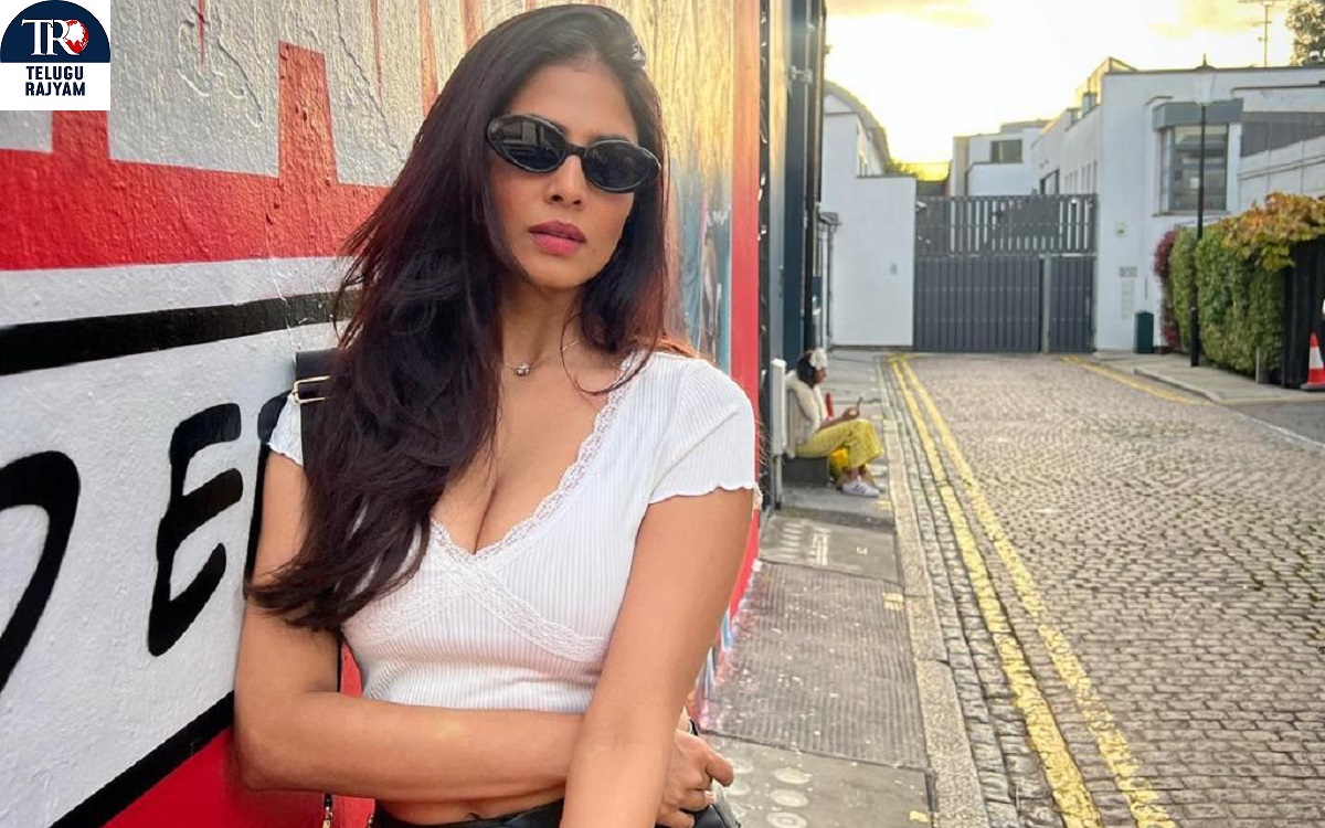 Malavika Mohanan: దక్షిణాదిలో హీరోయిన్‌లంటే చిన్నచూపే: కథానాయిక మాళవికా మోహనన్‌