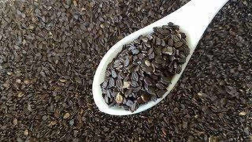 మహాబీర విత్తనాల ఆరోగ్య ప్రయోజనాలు మీకు తెలుసా.. ఆ ఆరోగ్య సమస్యలకు చెక్!