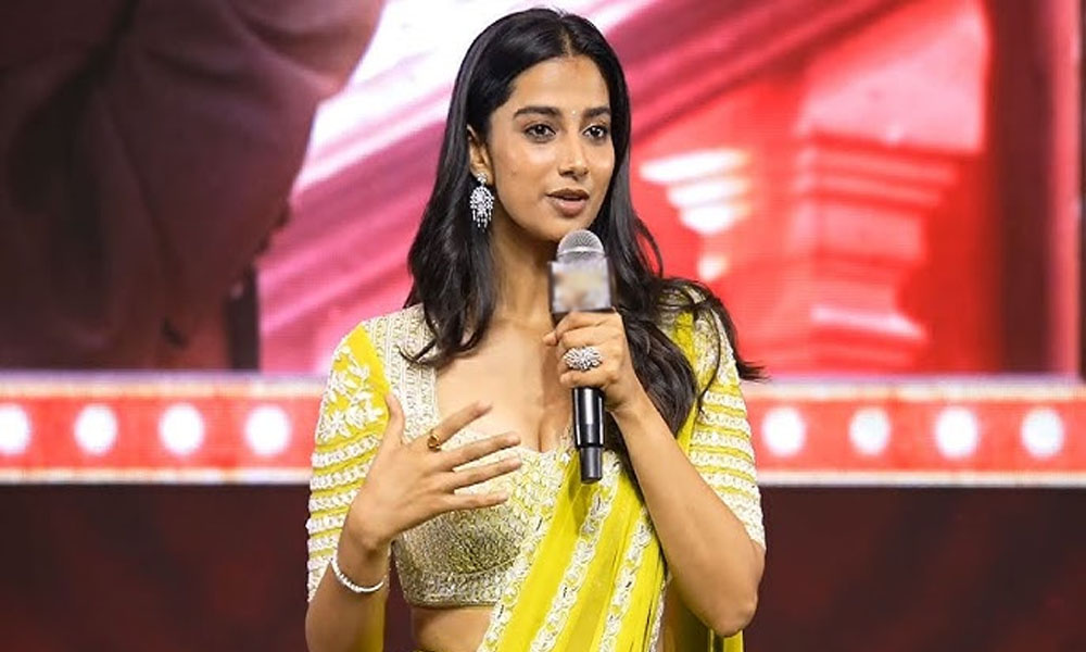 Meenakshi Chowdary: అక్కినేని హీరోతో పెళ్లి.. ఫుల్ క్లారిటీ ఇచ్చిన మీనాక్షి చౌదరి?