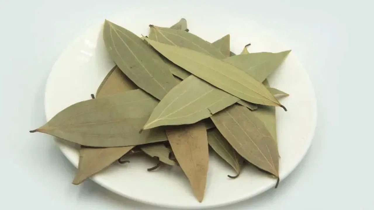 బిర్యానీ ఆకు వల్ల అదిరిపోయే లాభాలు.. మూడుసార్లు ఇలా చేస్తే భారీ ప్రయోజనాలు!