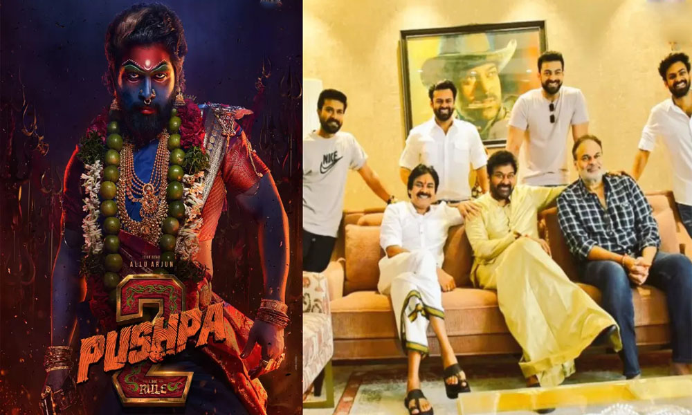 Pushpa 2: పుష్ప 2 ట్రైలర్ పై ప్రశంసల వర్షం… మౌనం పాటిస్తున్న మెగా కుటుంబం?