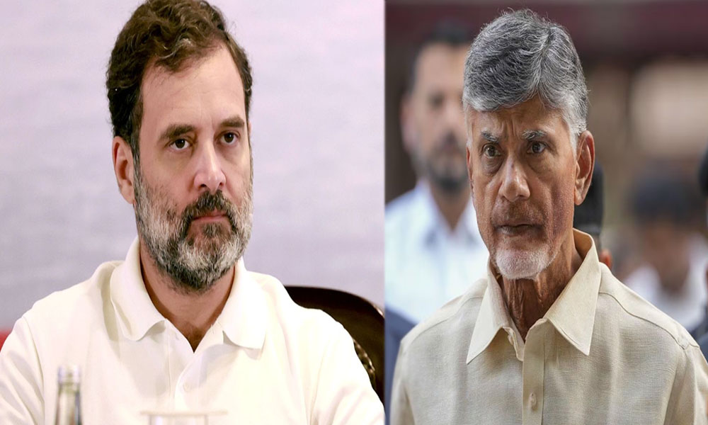 Rahul Gandhi:మహారాష్ట్ర ఎన్నికలు..చంద్రబాబుకు రాహుల్ గాంధీ ఫోన్.. ఏం జరుగుతోందసలు?