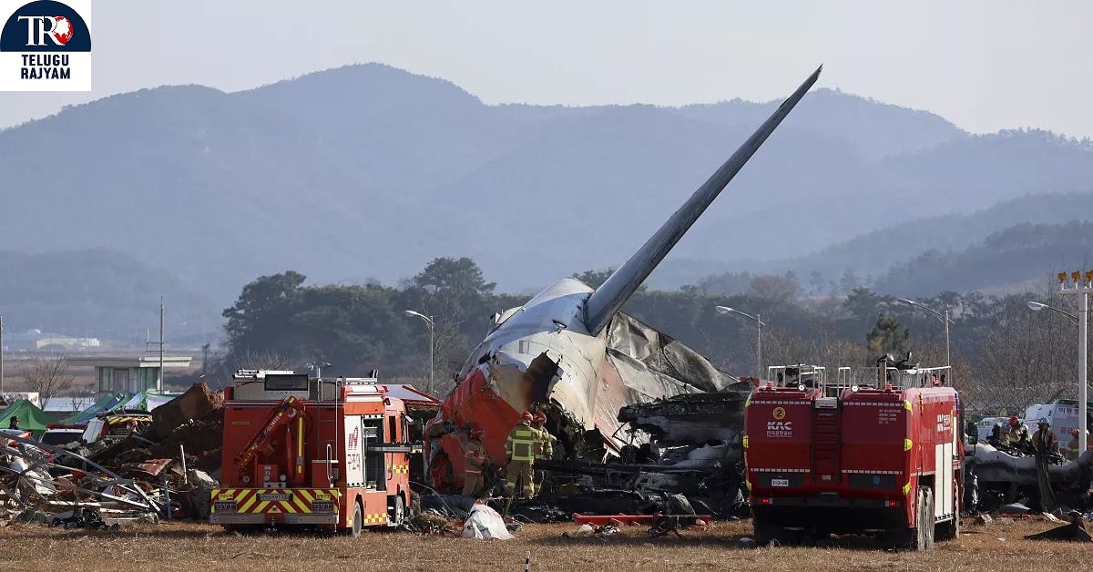 South Korea: దక్షిణకొరియా విమాన ప్రమాదంలో ఆ ఇద్దరే ఎలా బ్రతికారు?