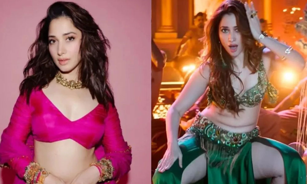 నా సాంగ్ వల్లే ఆ సినిమా హిట్.. స్త్రీ 2 పై  వైరల్ కామెంట్స్  చేసిన తమన్నా!