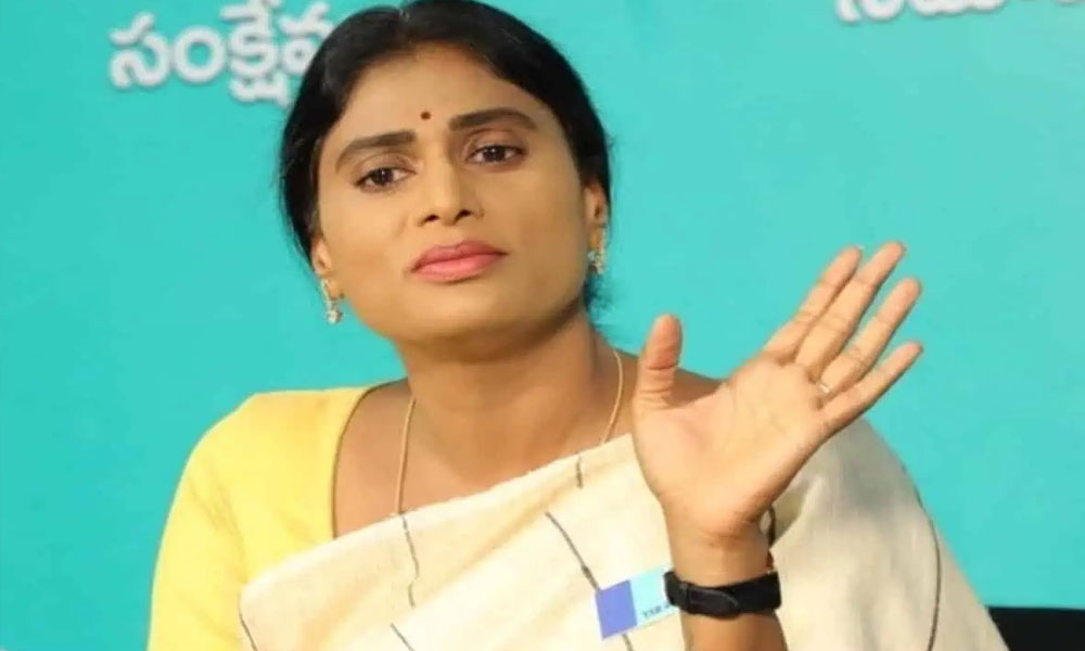 Y.S.Sharmila: వైయస్ అవినాష్ రెడ్డి పై షర్మిల సంచలన వ్యాఖ్యలు… సునీత ప్రాణాలకు ముప్పు అంటూ!