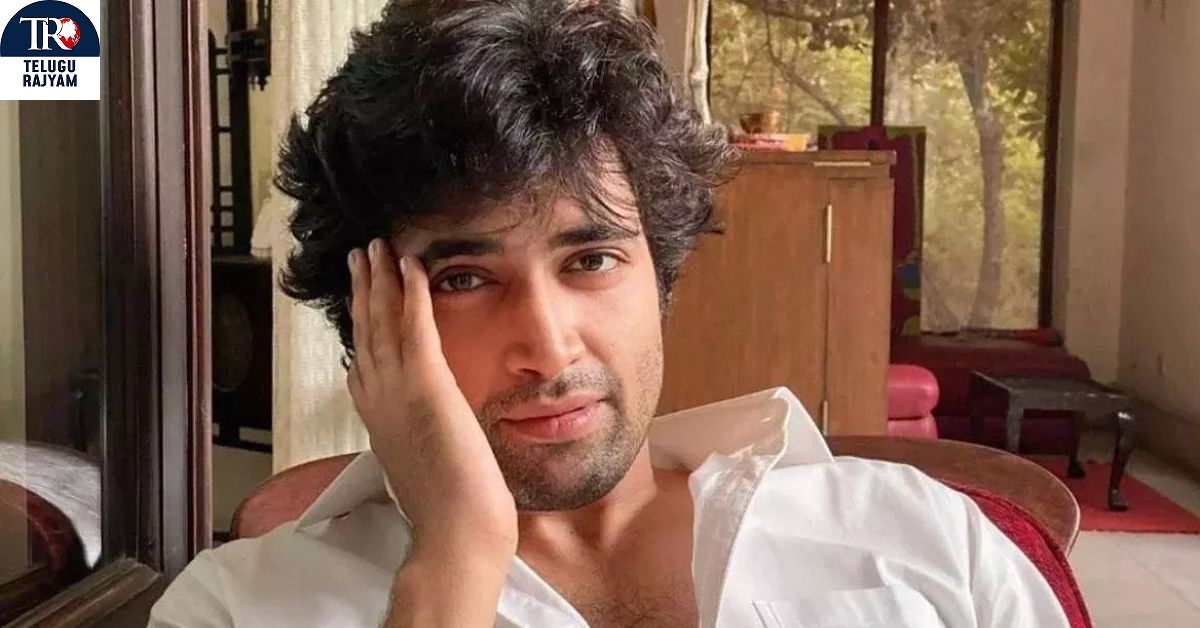 Adivi Shesh: సౌత్ సినిమాలపై విమర్శలు.. శేష్ పవర్ఫుల్ కౌంటర్