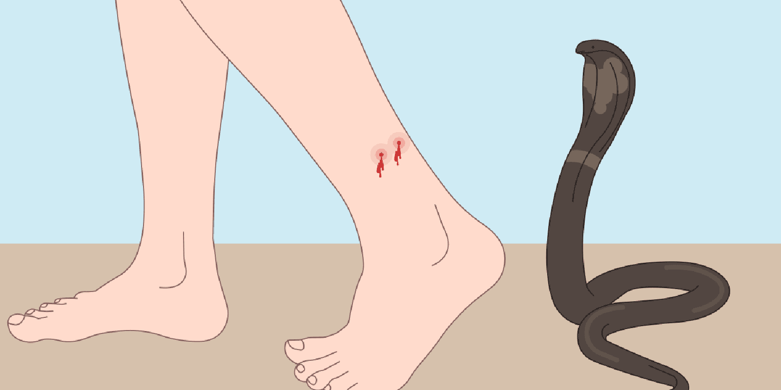 పాముకాటు ప్రభావాన్ని తగ్గించే మెుక్కలివే.. ఈ మొక్కలతో సమస్యకు సులువుగా చెక్!