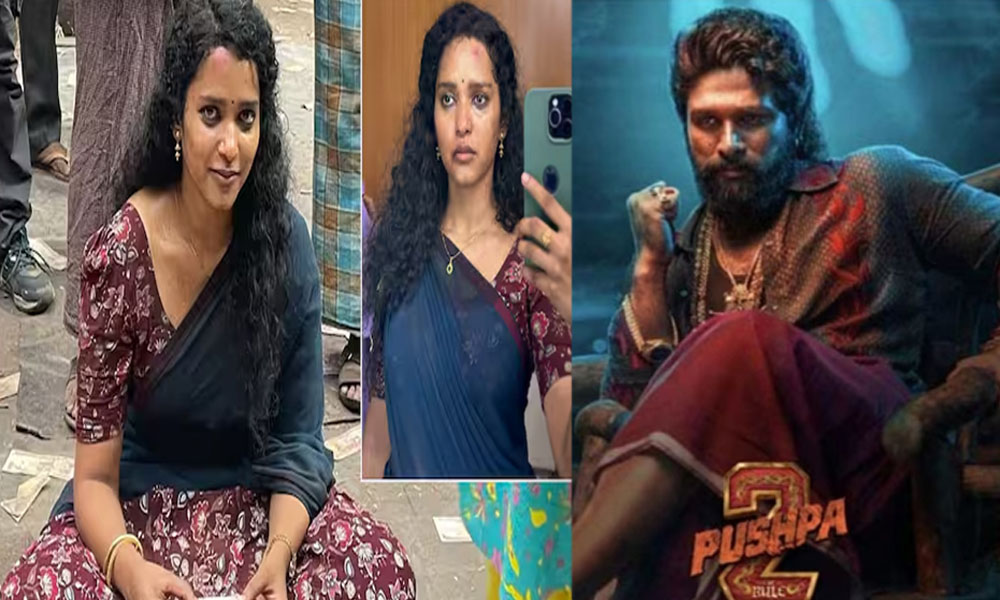 Pushpa 2: పుష్ప అన్న కూతురు కావేరి పేరు వెనుక అంత అర్థం ఉందా…..సుక్కు నువ్వు మామూలోడు కాదయ్యా?