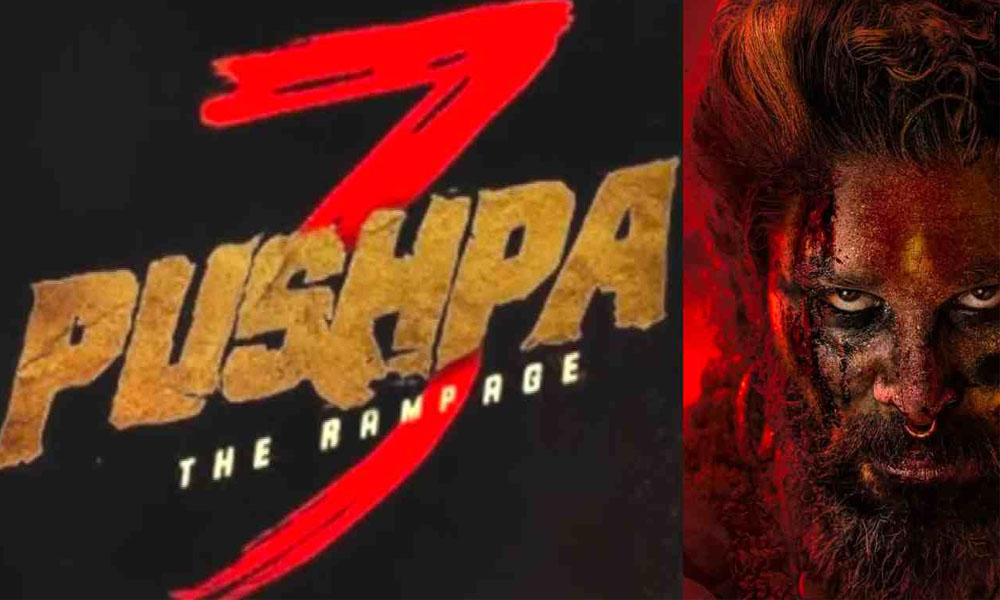 Pushpa 3: పుష్ప లవర్స్ కి బ్యాడ్ న్యూస్… ఆయన లేకుండా పుష్ప 3… ప్రేక్షకులు ఆదరిస్తారా?