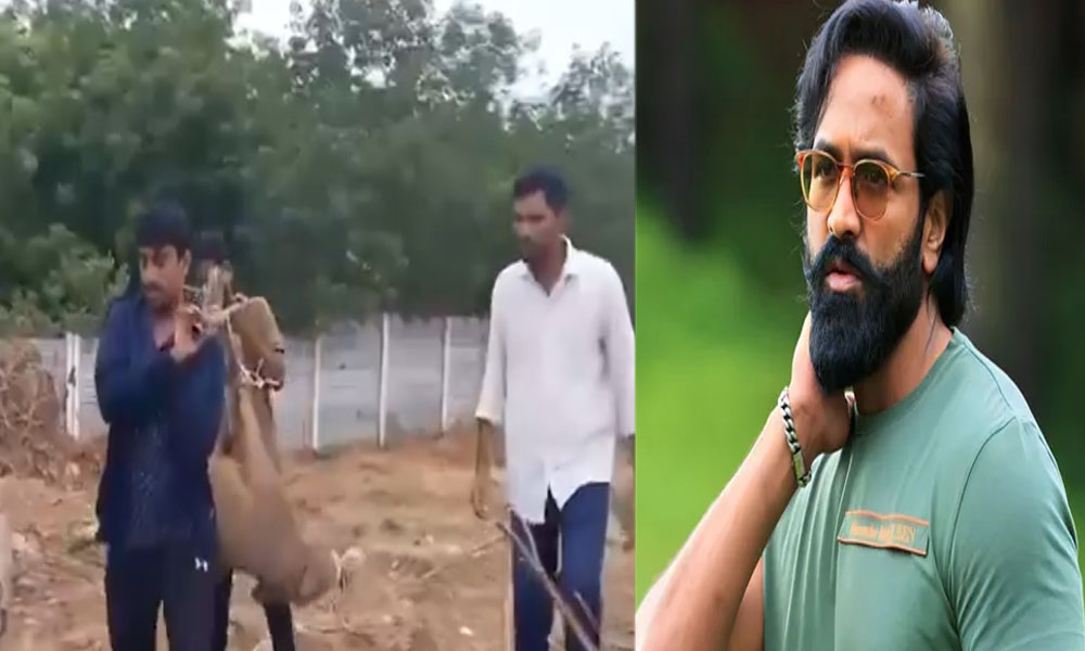 Manchu Vishnu: మరో వివాదంలో మంచు విష్ణు… అడవి పందులను బంధించిన సిబ్బంది?