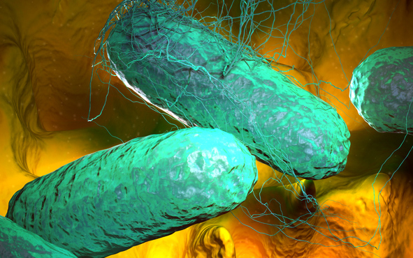 ఈ లక్షణాలు కనిపిస్తే టైఫాయిడ్ బారిన పడే అవకాశం ఉందట.. ఏం చేయాలంటే?