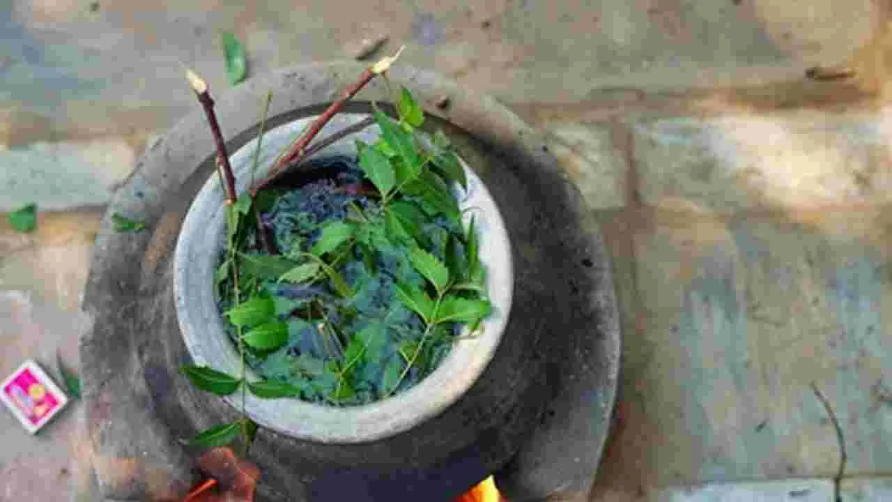 వేపాకు నీటితో స్నానం చేస్తే కలిగే లాభాలివే.. ఆ సమస్యలన్నీ దూరం అవుతాయా?