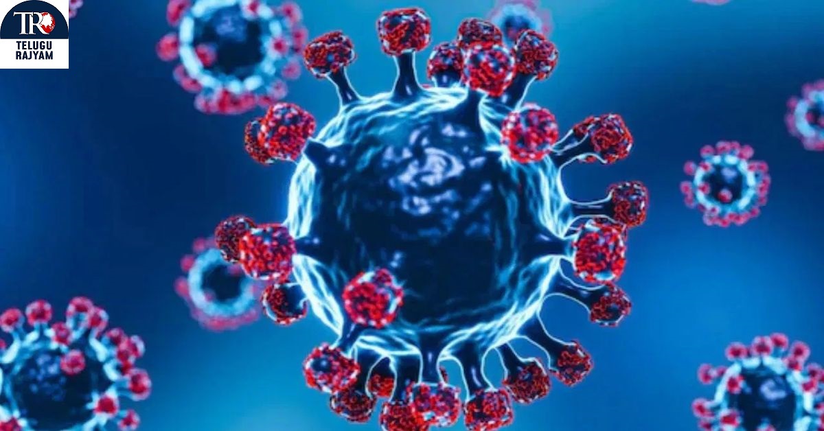 HMPV Virus: న్యూ వైరస్ కలకలం.. చైనా ఏం చెప్పిందంటే..