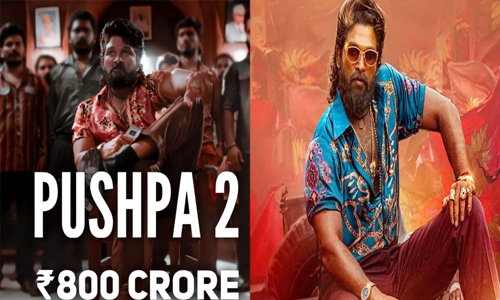 పుష్ప, పుష్ప రాజ్ నయా రికార్డు.. కేవలం బాలీవుడ్ లో 800 కోట్లకు అతి దగ్గరలో!