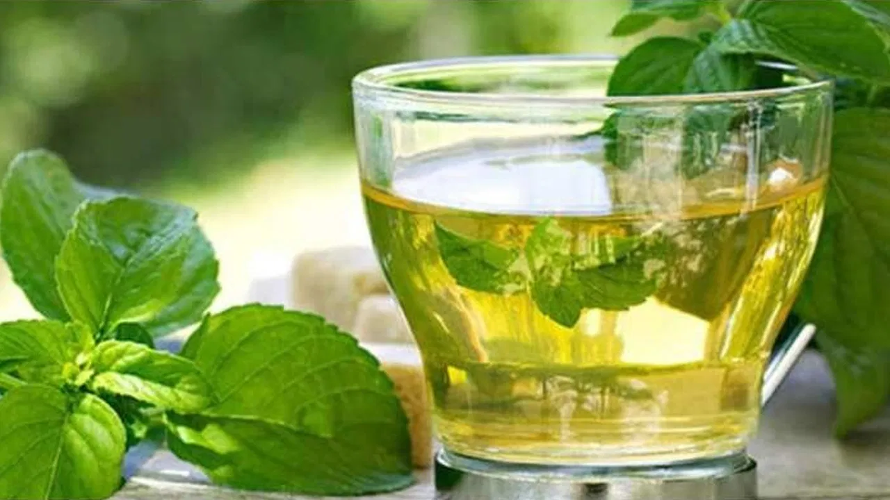 పుదీనా టీ తాగడం వల్ల కలిగే అద్భుతమైన లాభాలివే.. ఈ షాకింగ్ బెనిఫిట్స్ మీకు తెలుసా?