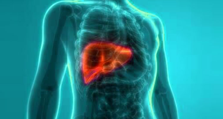 ఫ్యాటీ లివర్ సమస్యతో బాధ పడుతున్నారా.. ఈ సమస్యకు చెక్ పెట్టే అద్భుత చిట్కాలివే!