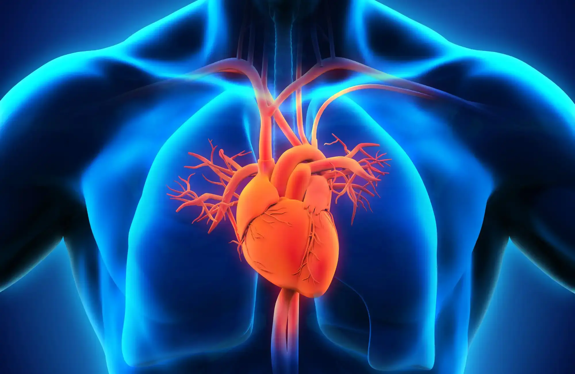 గుండె సమస్యలు ఉన్నవాళ్లు చేయకూడని తప్పులివే.. ఈ షాకింగ్ విషయాలు మీకు తెలుసా?