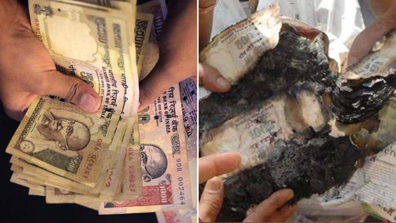 కాలిన నోట్లను బ్యాంకులో తీసుకుంటారా.. ఈ షాకింగ్ విషయాలు మీకు తెలుసా?