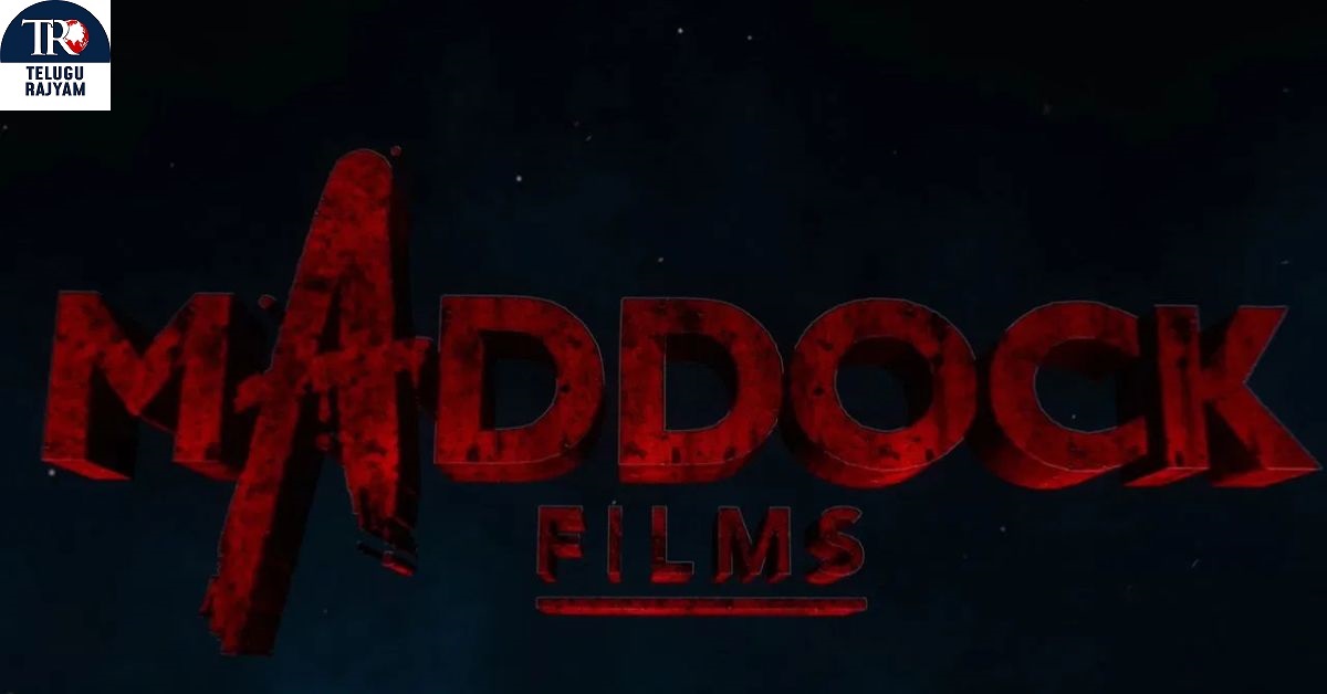 Maddock Films: కంటెంట్‌తో 500 కోట్లు.. మాడాక్ ఫిల్మ్స్ సక్సెస్ రహస్యం!