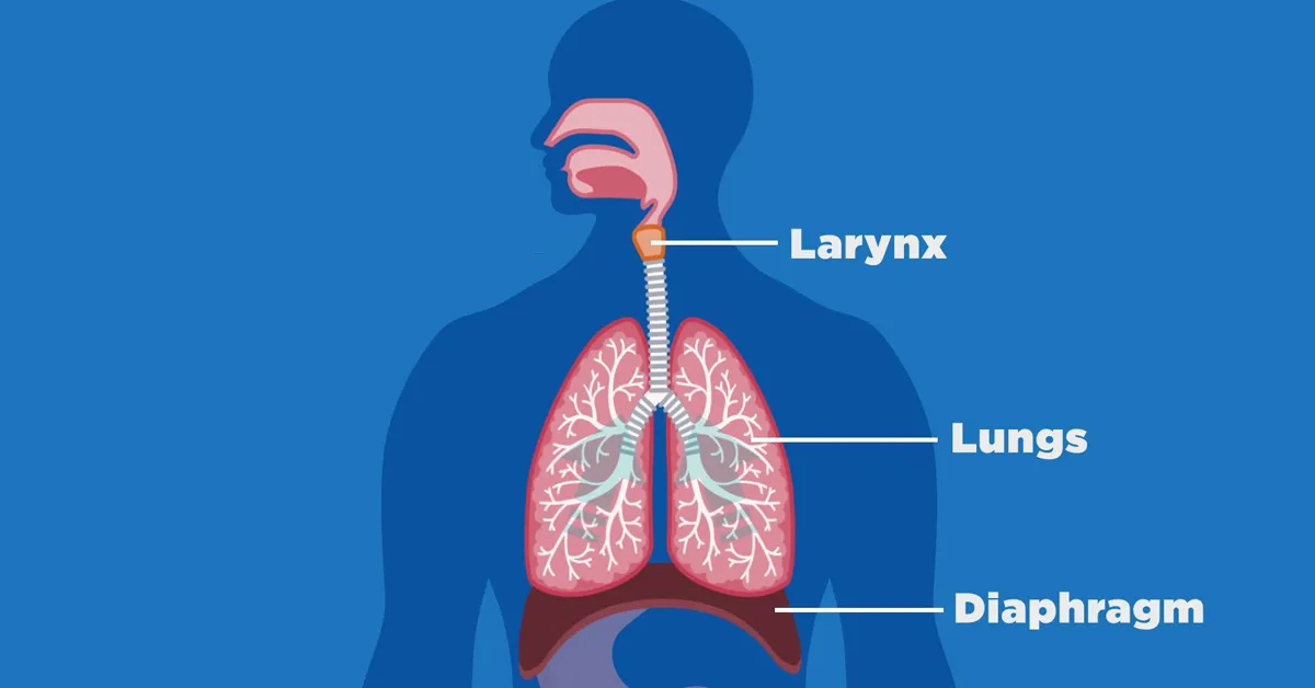 పదేపదే ఎక్కిళ్లు వస్తున్నాయా.. ఈ చిట్కాలు పాటిస్తే ఈ సమస్య నుంచి ఉపశమనం!