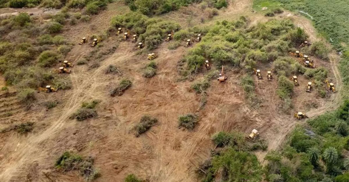 HCU Lands: యూనివర్సిటీ భూముల చదునుకు తాత్కాలిక బ్రేక్!