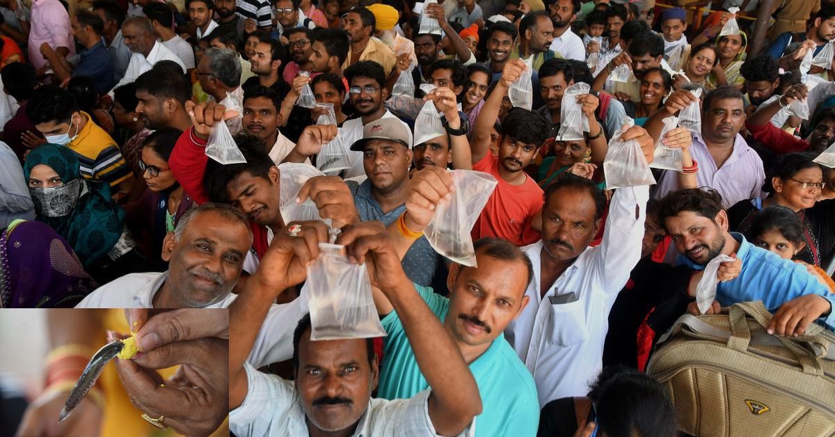 Chepa Prasadam: ఉబ్బసం నివారణకు ‘చేప ప్రసాదం’.. ఇచ్చేది ఎప్పుడంటే..