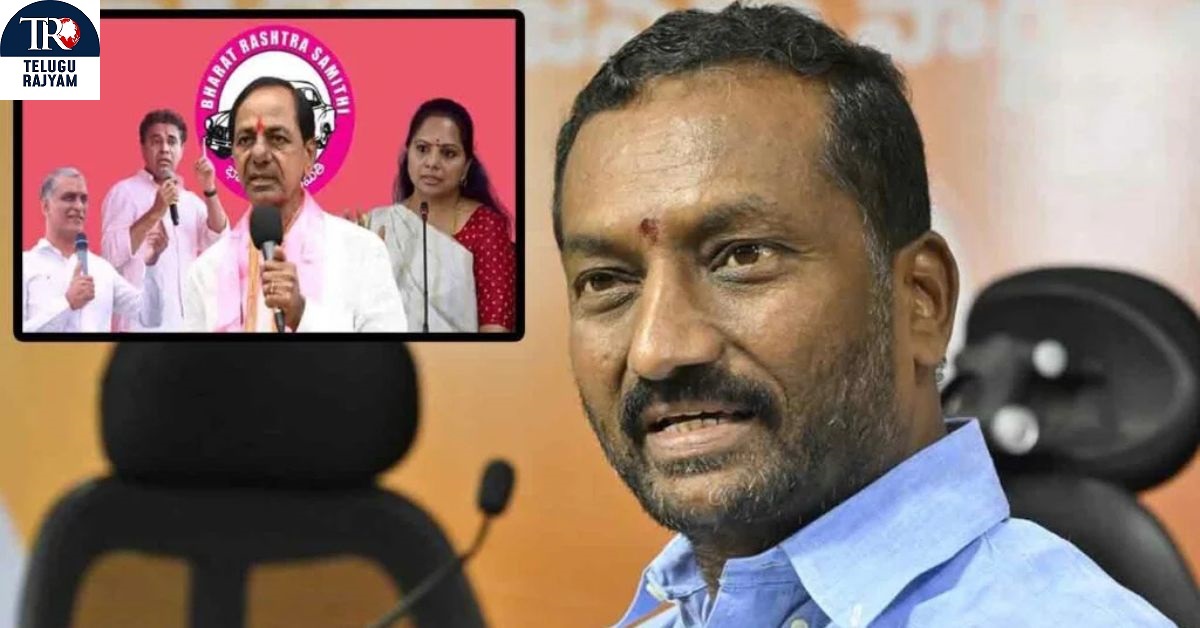 Raghunandan Rao: బీఆర్ఎస్ కుటుంబం గొడవల్లో బీజేపీని లాగొద్దు: రఘునందన్ ఫైర్