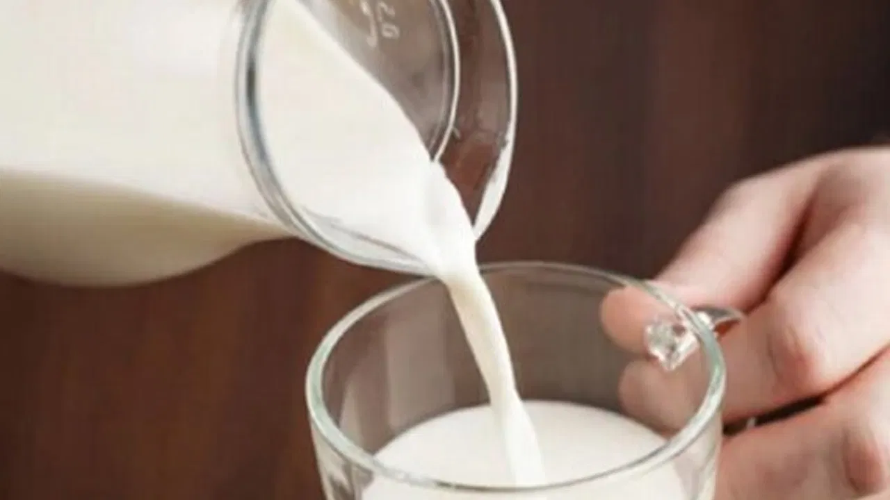 పచ్చిపాలు తాగితే కలిగే నష్టాలివే.. పాలు ఎక్కువగా తాగేవాళ్లకు ఇది షాకింగ్ న్యూస్!