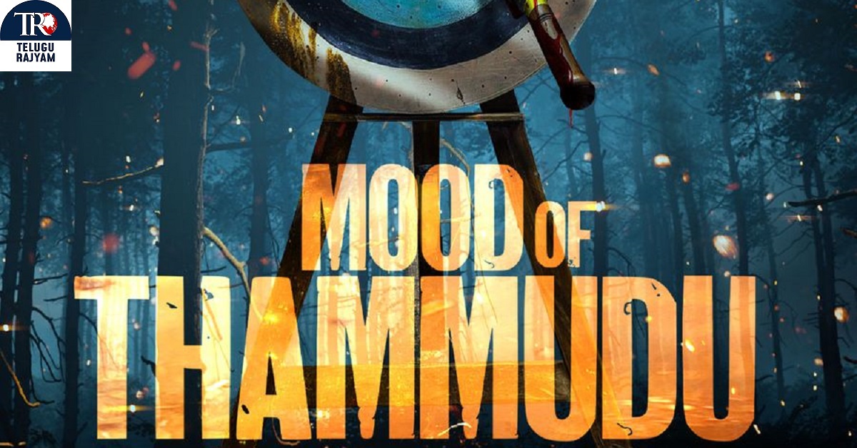Thammudu: హీరో నితిన్ ‘తమ్ముడు’ నుంచి ‘మూడ్ ఆఫ్ తమ్ముడు’ విడుదల