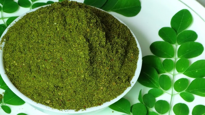 మునగాకు పొడి వల్ల అదిరిపోయే లాభాలు.. ఇవి తీసుకోవడం వల్ల ఎన్నో సమస్యలు దూరం!