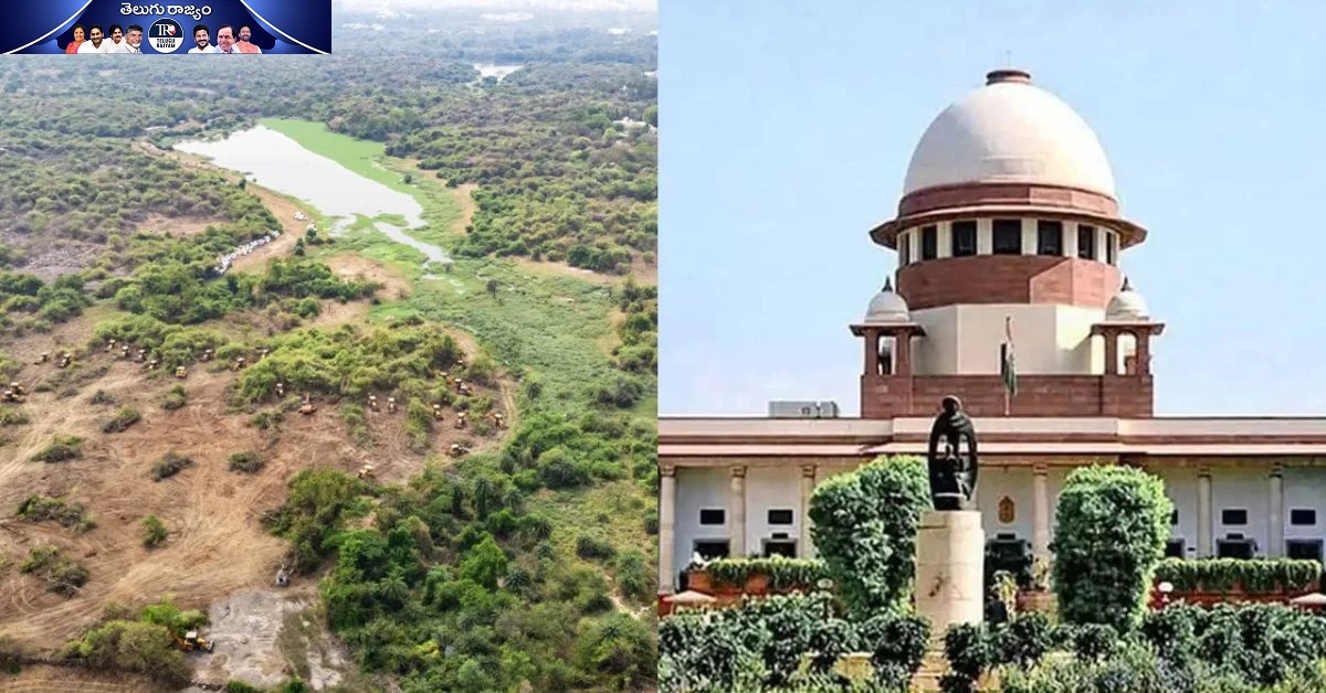 Supreme Court: గచ్చిబౌలి భూములపై సుప్రీం ఘాటు ప్రశ్నలు.. తేడా వస్తే అధికారులైనా జైలుకే..