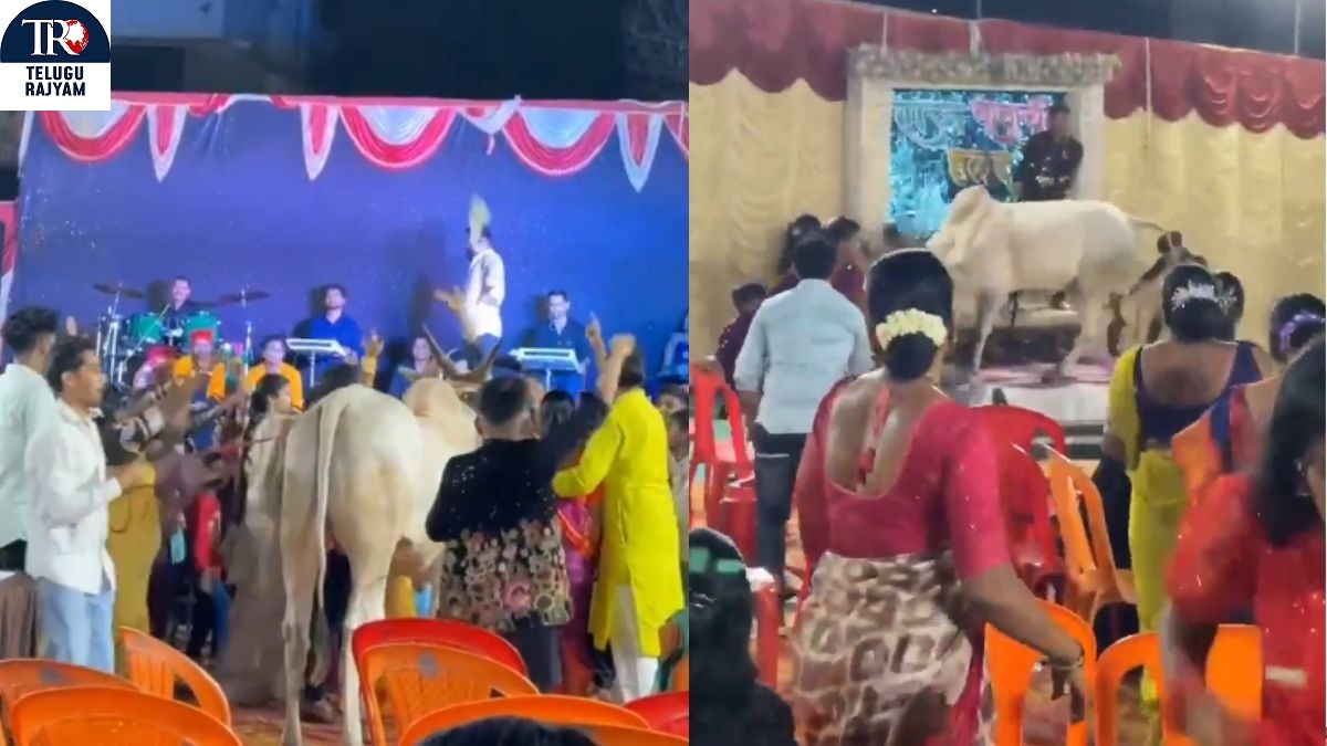 Bull Attack: వైరల్ వీడియో: ఎంజాయ్ చేస్తున్న వేళ… ఎద్దు ఎంట్రీతో షాక్!