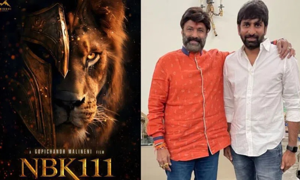 Balakrishna: బాలకృష్ణ నెక్స్ట్ మూవీ ఫిక్స్.. ఇంతకీ డైరెక్టర్ ఎవరో తెలుసా?