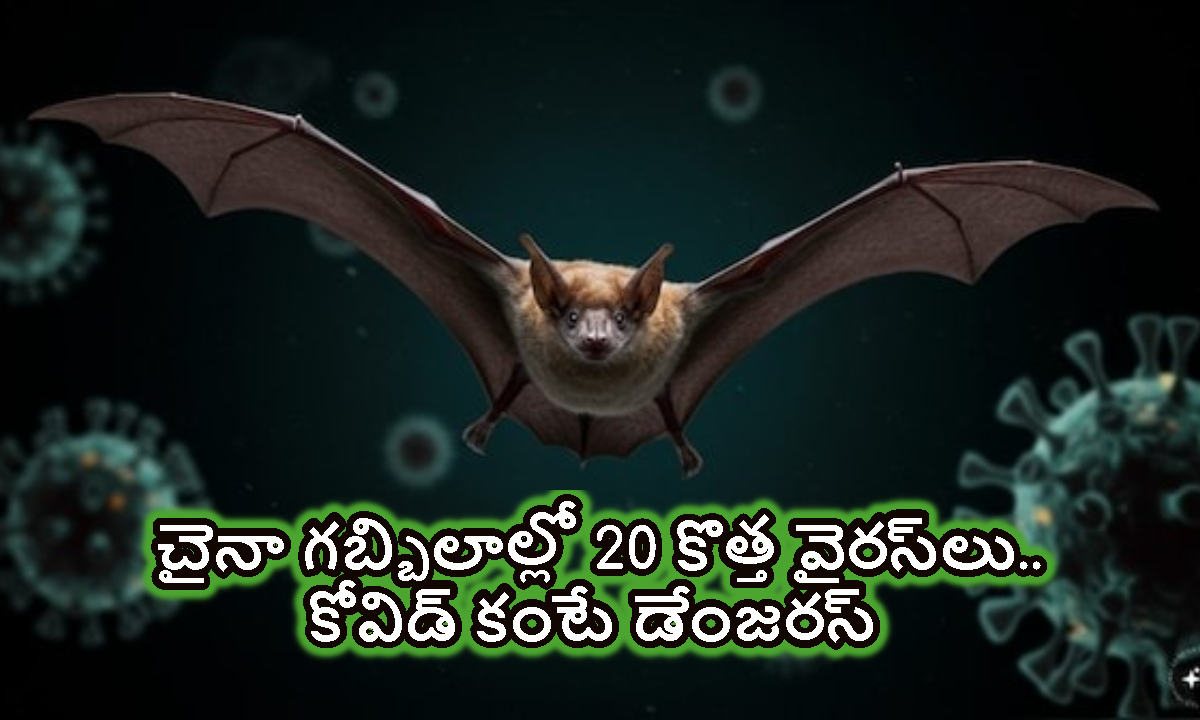 New Viruses: వామ్మో.. చైనా గబ్బిలాల్లో ప్రాణాంతక 20 వైరస్ లు.. కోవిడ్ కంటే ప్రమాదకరం..!