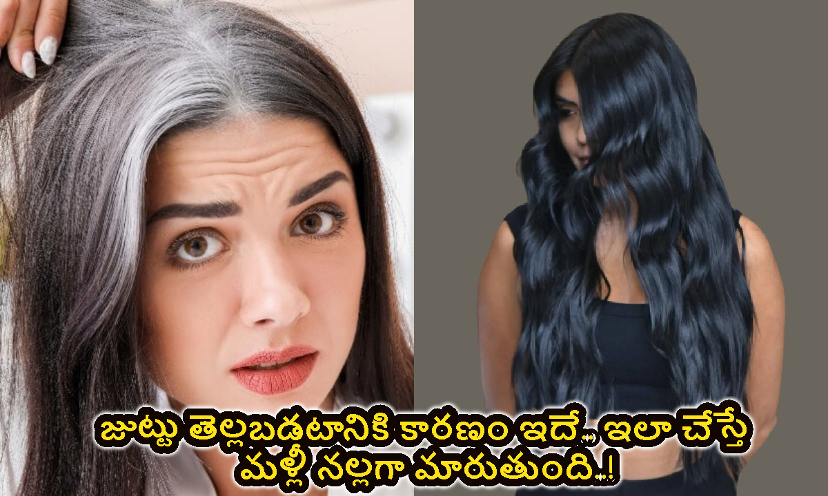 Hair: జుట్టు తెల్లబడటానికి కారణం ఇదే.. ఇలా చేస్తే మళ్లీ నల్లగా మారుతుంది..!