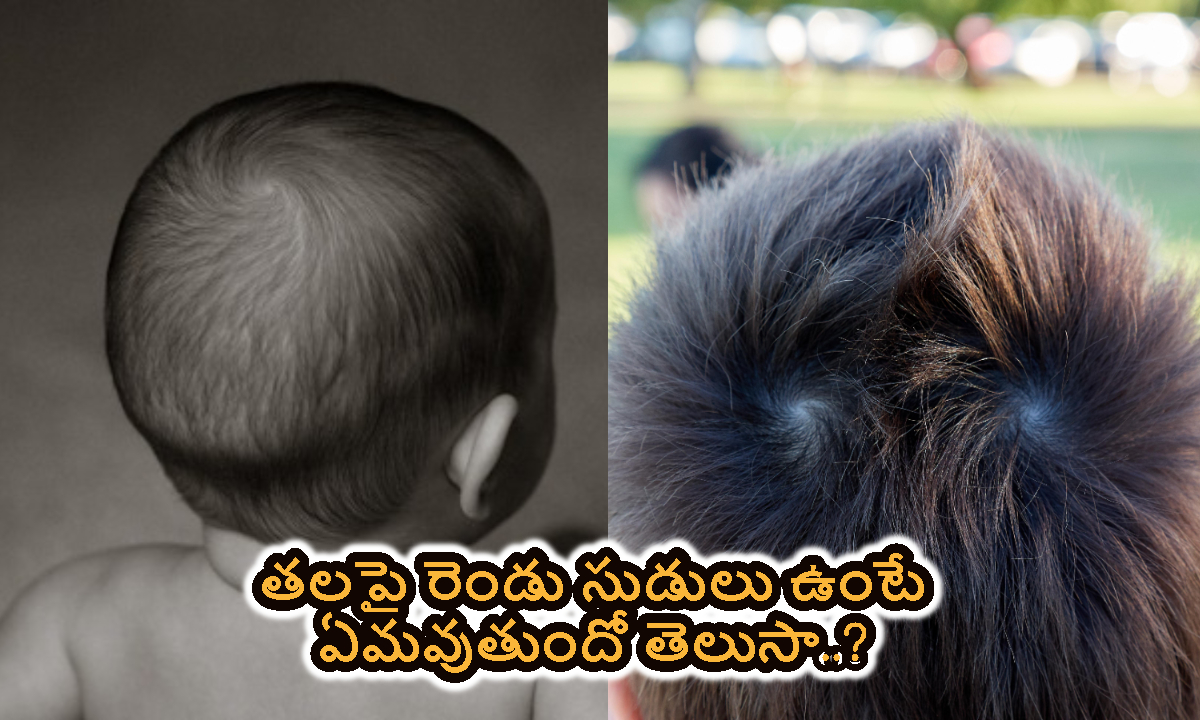 Head Swirls: తలపై రెండు సుడులు ఉంటే.. ఏమవుతుందో తెలుసా..?