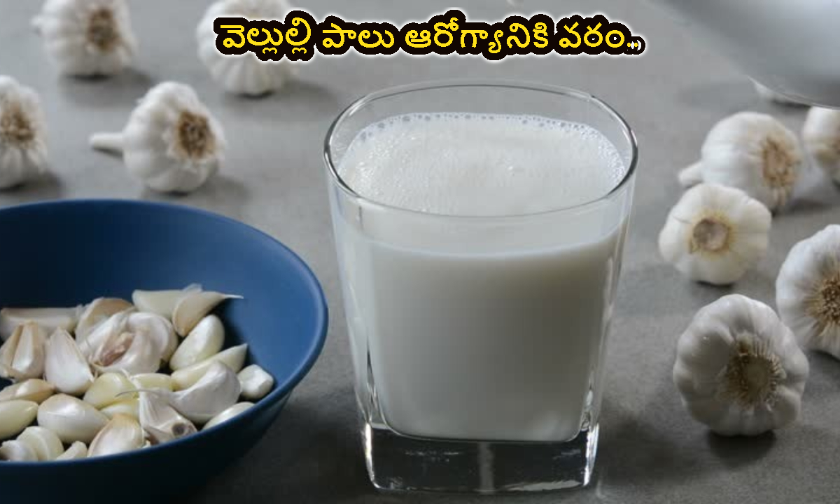 Garlic Milk: వెల్లుల్లి పాలు ఆరోగ్యానికి వరం.. ఆ సమస్యలు దూరం.. వెంటనే ట్రై చేయండి..!