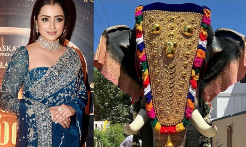 Trisha: ఆలయానికి ఏనుగును బహుమతిగా ఇచ్చిన త్రిష.. దాని ప్రత్యేకతల గురించి తెలిస్తే ఆశ్చర్యపోవాల్సిందే!